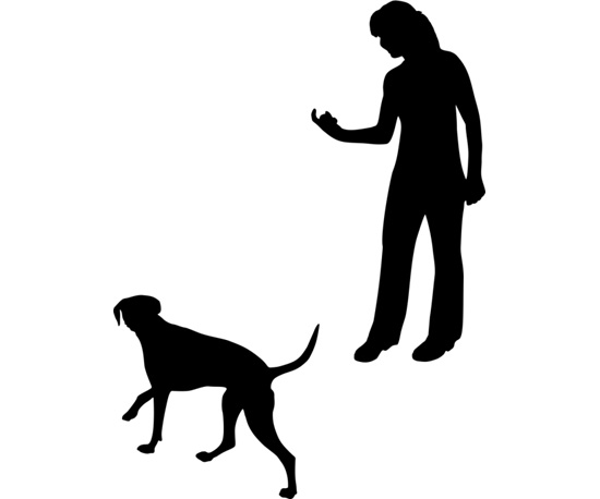 Come | Hands-On Training: 5 Signals to Teach Your Dog | POPSUGAR Pets
