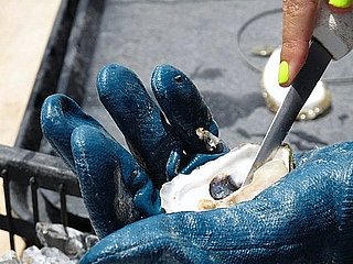 Do You Eat Oysters Year-Round? Do You Eat Oysters Year-Round?