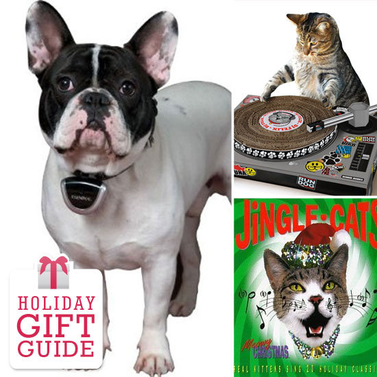 Last-Minute Gifts For Your Faithful Companion Last-Minute Gifts For Your Faithful Companion