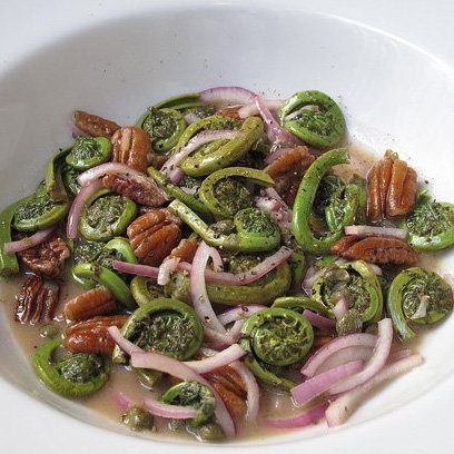 Warmed Fiddlehead Salad Warmed Fiddlehead Salad