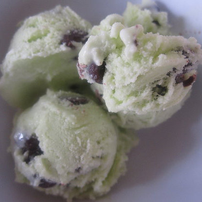 Mint Chip Ice Cream Mint Chip Ice Cream