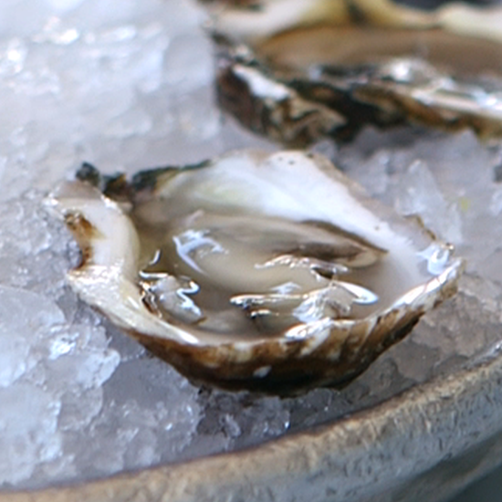 A Beginner's Guide to Everything Oysters, From Shopping to Shucking