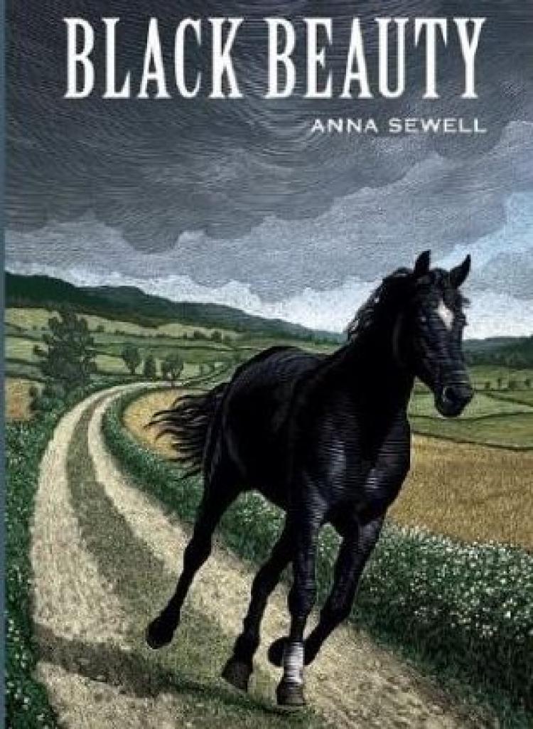 Black Beauty By Anna Sewell 13 Successful First Novels By Female 0200