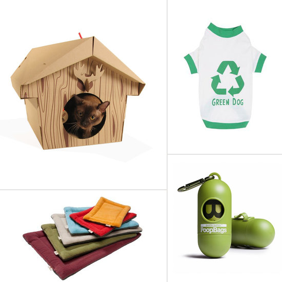 10 Eco-Friendly Pet Essentials For Earth Day 10 Eco-Friendly Pet Essentials For Earth Day