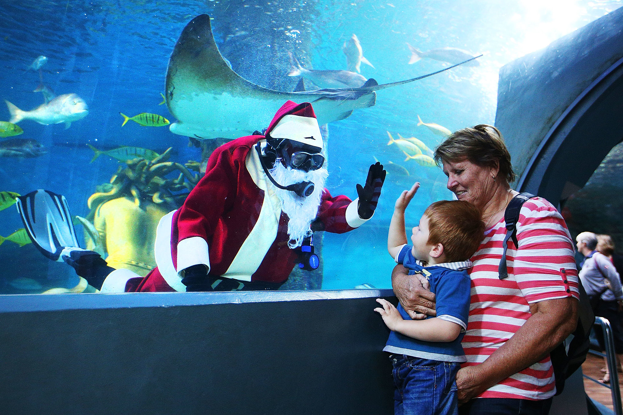 a scuba diver dressed in a santa suit waved at a child in a scuba diver dressed in a santa suit waved at a child in