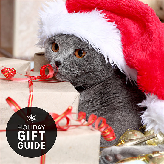 8 Supercute Stocking Stuffers For Cats 8 Supercute Stocking Stuffers For Cats