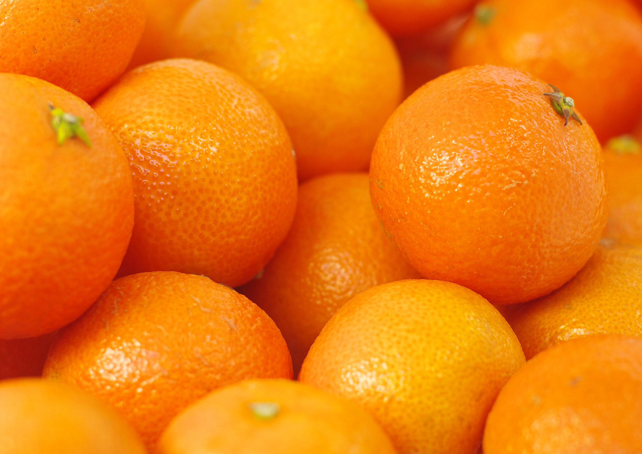 Which City Is Famous For Oranges In Pakistan