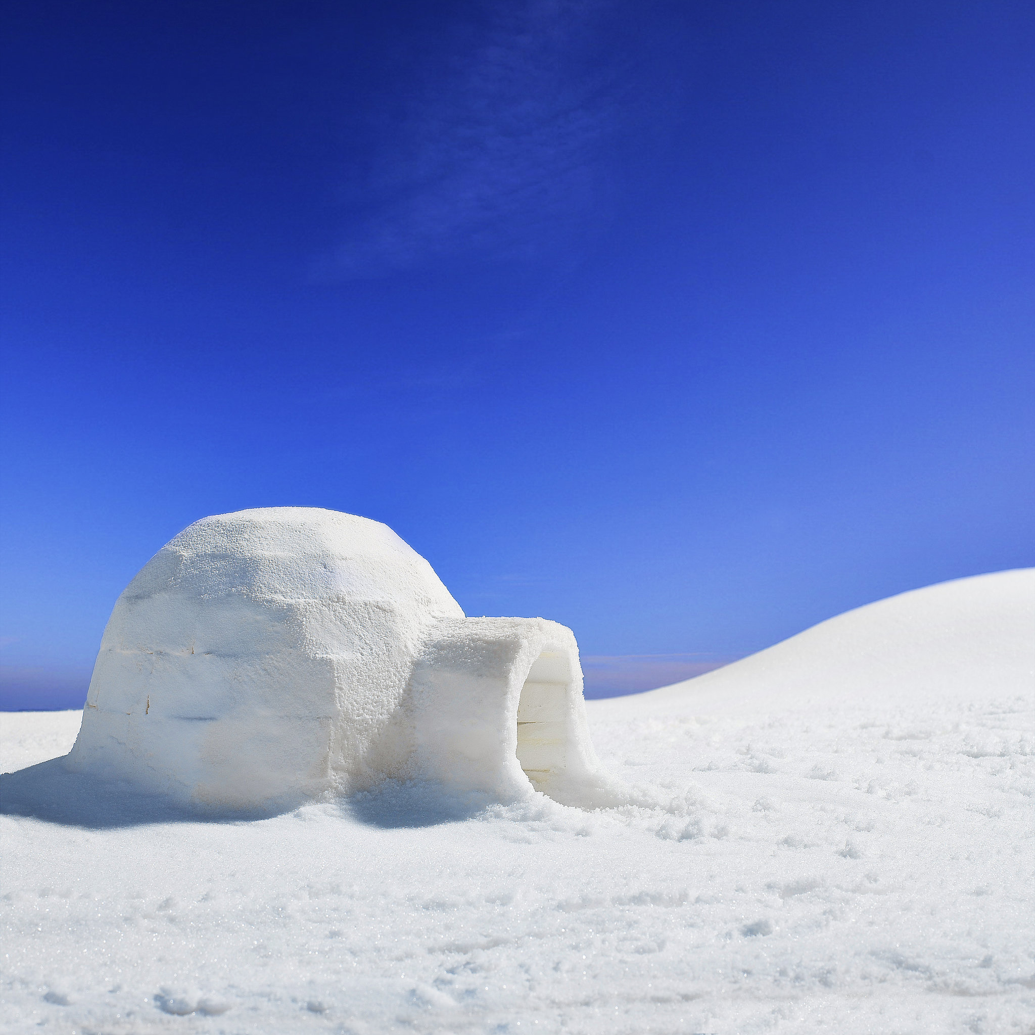 Build an Igloo 100+ Things to Do Before You Die POPSUGAR Smart Living