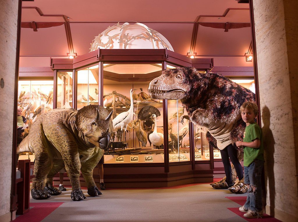 Natural History Museum of Los Angeles County — Los Angeles Natural History Museum of Los Angeles County — Los Angeles