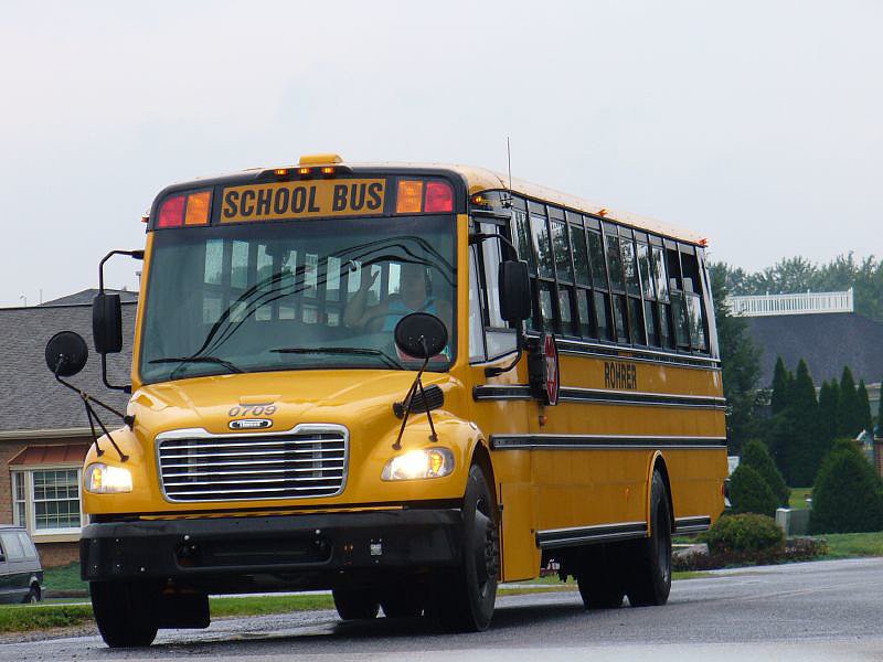 School Buses School Buses