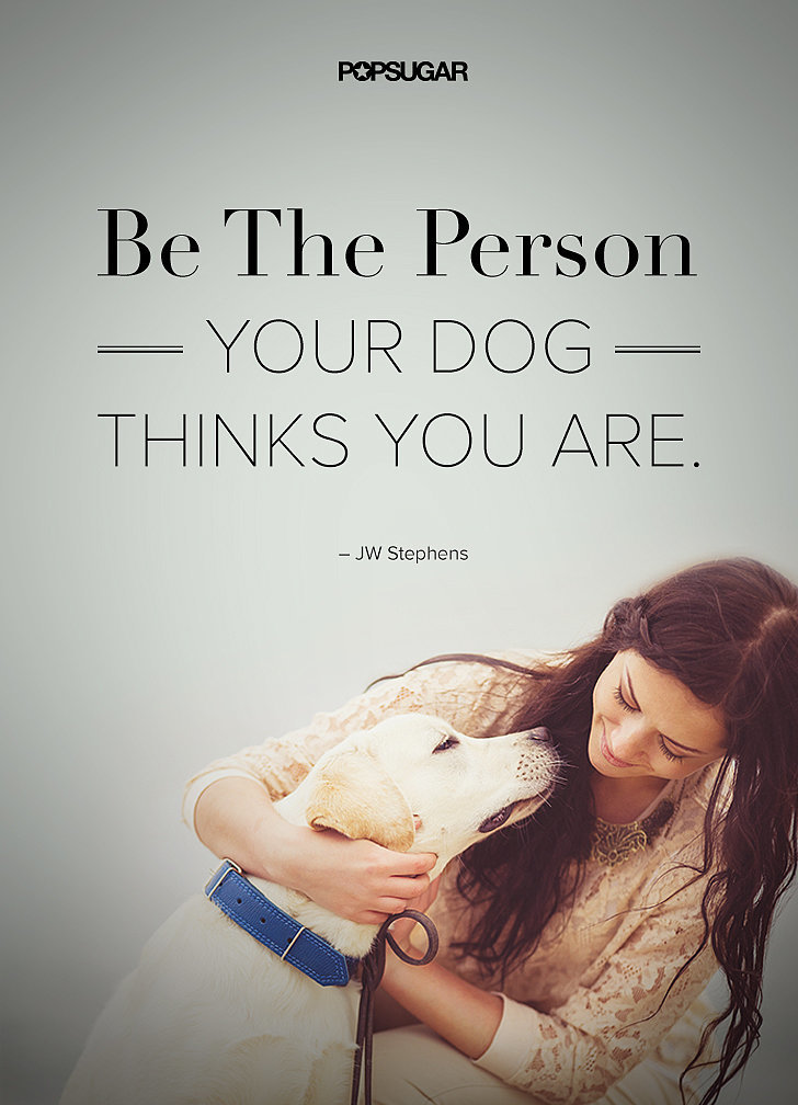 You're Awesome! You're Awesome!