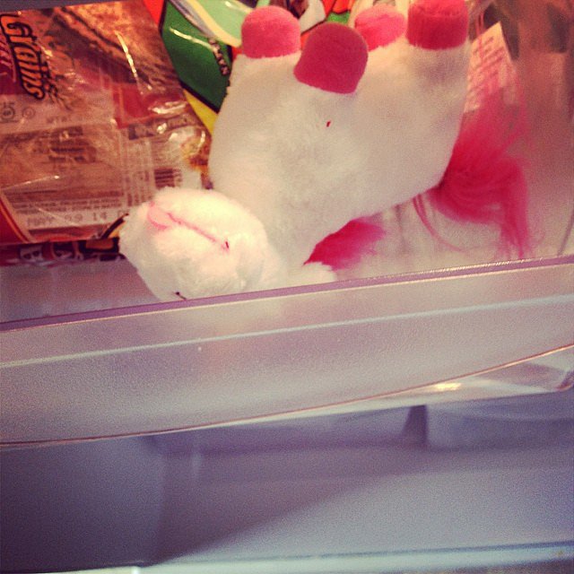 Unicorn in the Fridge Unicorn in the Fridge