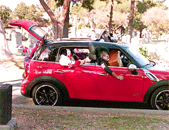 25a412c72f5fa1b3_clown-car-4WMndBd.xxxlarge.gif