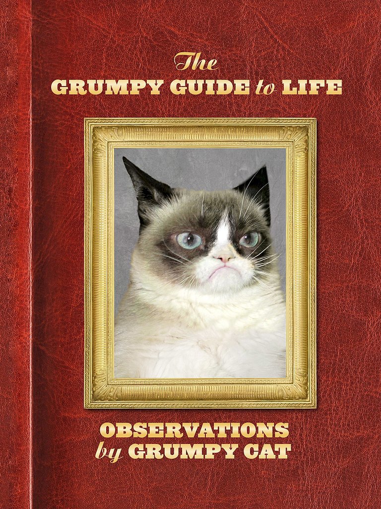 The Grumpy Guide to Life The Grumpy Guide to Life