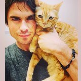 Somerhalder Masters Different Kinds Selfies
