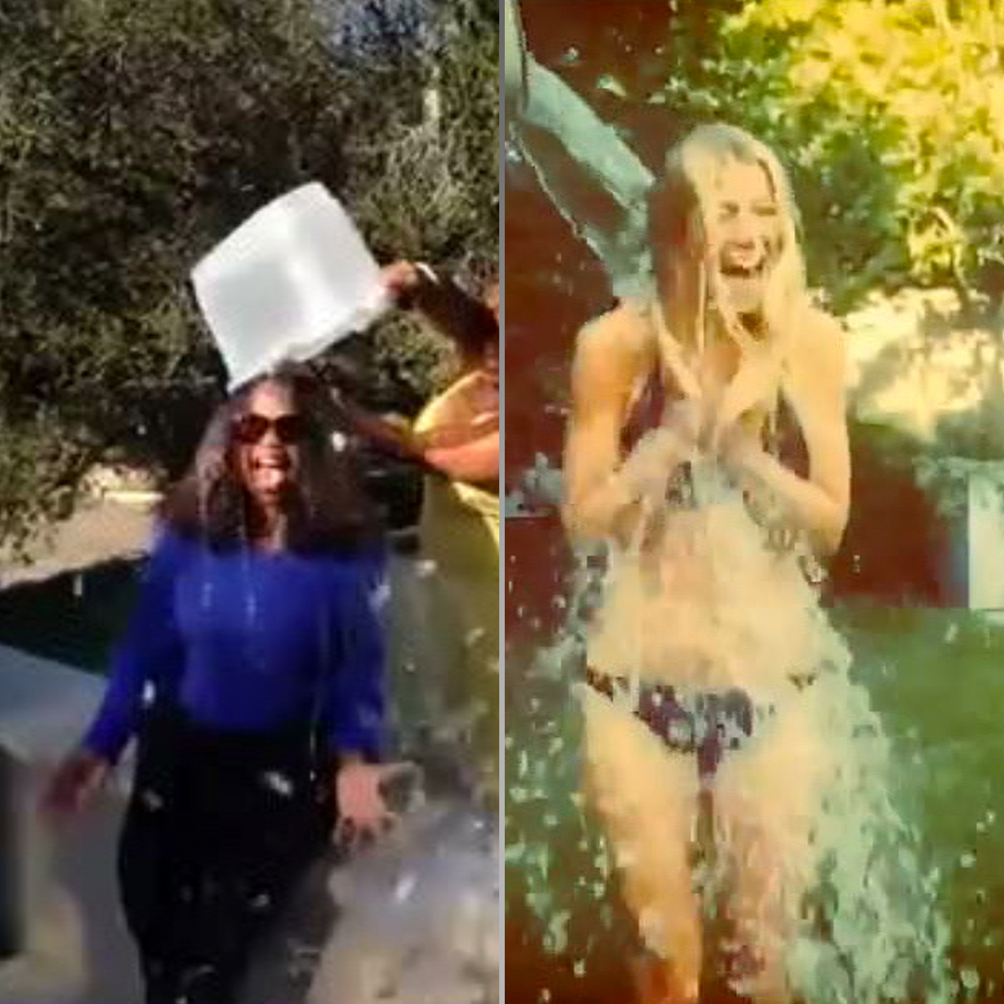 The Best Celebrity Ice Bucket Challenge Videos So Far