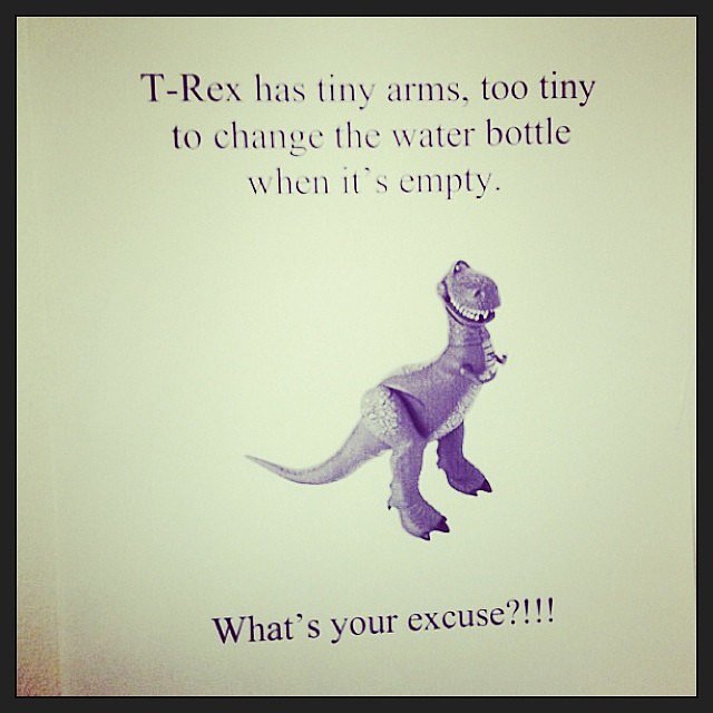 You Have No Excuse You Have No Excuse