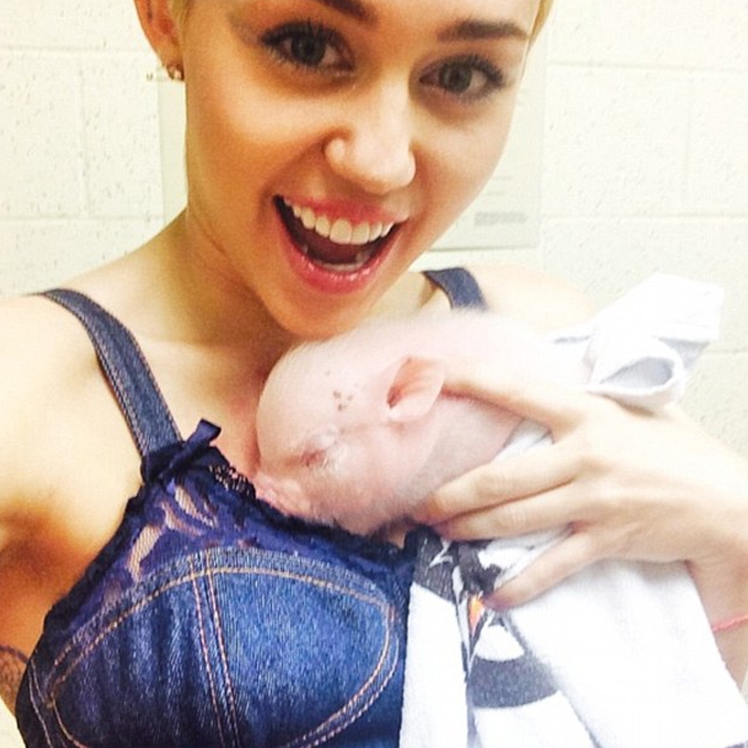 14 Celebs Who Have Eccentric Furry Friends For Pets