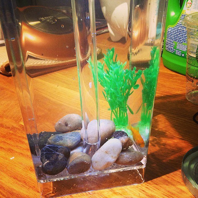 Attempting to Keep This Guy Alive Attempting to Keep This Guy Alive