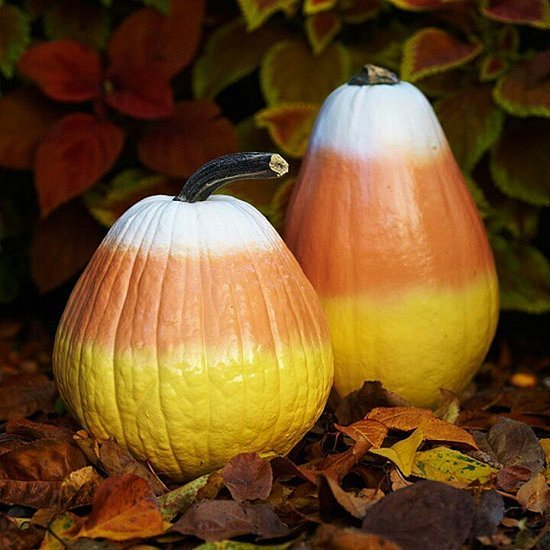20 No-Carve Pumpkin Ideas Perfect For Kids 20 No-Carve Pumpkin Ideas Perfect For Kids