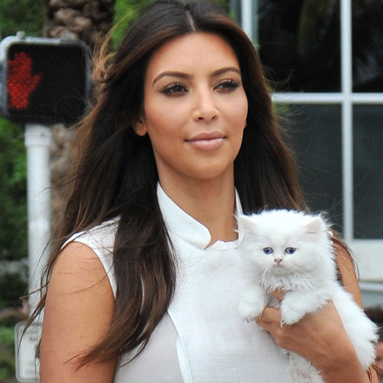 Celebrity Pets | POPSUGAR Celebrity