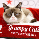 Peek Into Grumpy Cat's Worst