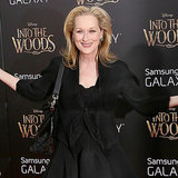 Meryl Streep's Biggest Fans Into