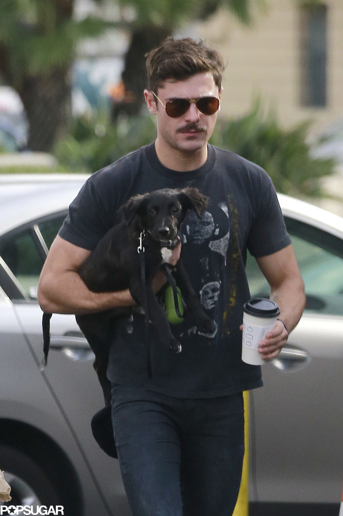 Zac-Efron-Sami-Miro-Adopted-Puppy.jpg