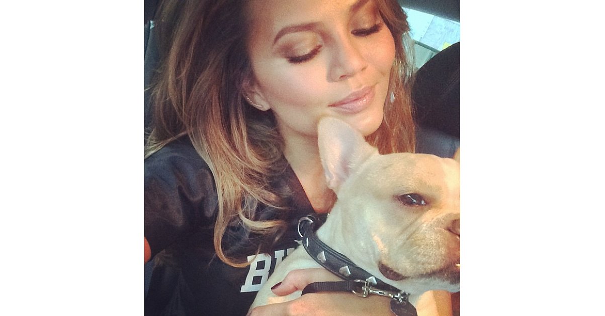 Fashion, Shopping & Style The Most Fashionable Dogs on Instagram POPSUGAR Fashion Australia