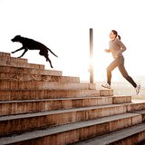 The Ultimate Guide to Running With Your Dog The Ultimate Guide to Running With Your Dog