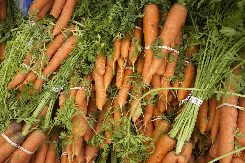 Carrots Carrots