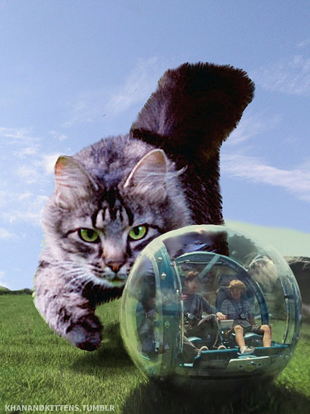 Here's What Jurassic World Would Look Like Starring Cats Instead of Dinosaurs