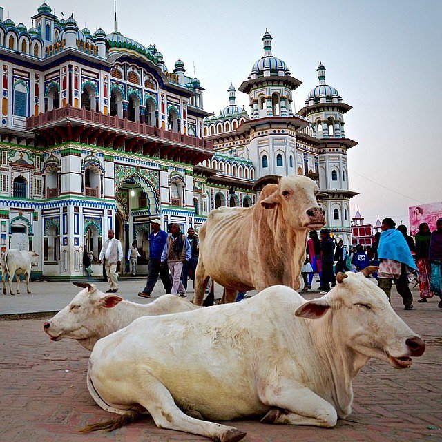 janakpur-nepal-28-stops-you-simply-have-to-make-in-asia-popsugar