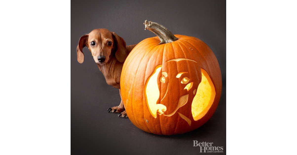 Dachshund 22 Downloadable Dog Breed Pumpkin Stencils POPSUGAR Home