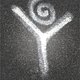 visYoga visYoga