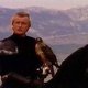 Ladyhawke57 Ladyhawke57