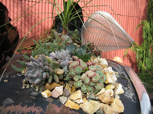 Image Image