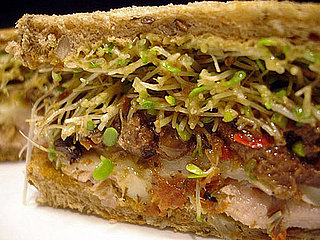 Recipe For Olive and Roasted Ahi Tuna Melt Recipe For Olive and Roasted Ahi Tuna Melt