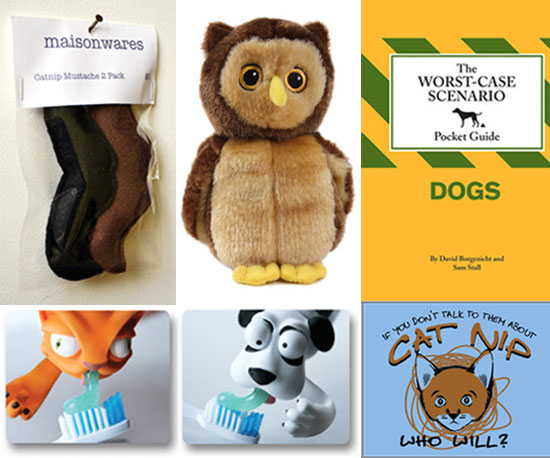 Pet's August Must Haves Pet's August Must Haves
