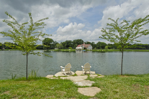 Image Image