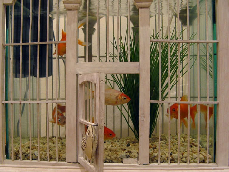With a fish bowl set inside, this birdcage is a funny aquarium that