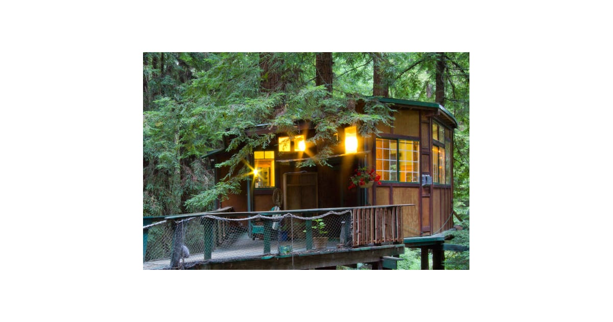 Redwood Treehouse Cabin Bizarre and Beautiful Airbnb Rentals That Won