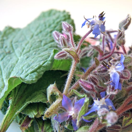 Uses For Borage POPSUGAR Food