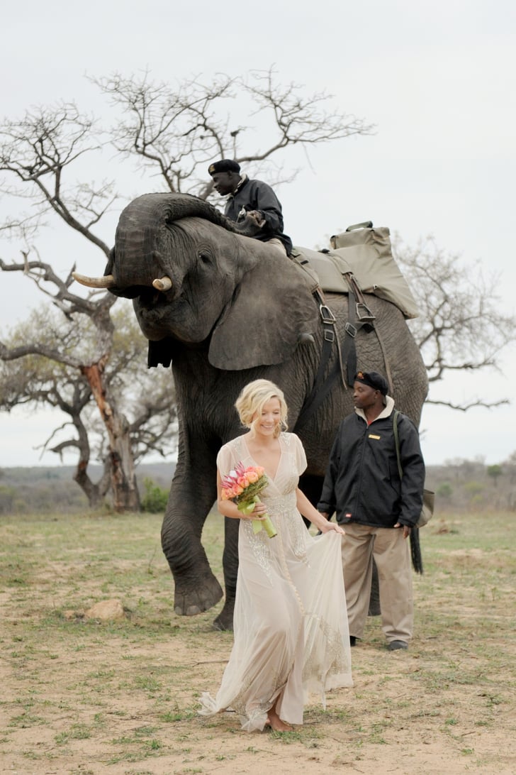 South African Safari Wedding With Elephants POPSUGAR Love Sex Photo 22