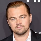 Leonardo DiCaprio Is Reportedly Dating Model Nina Agdal