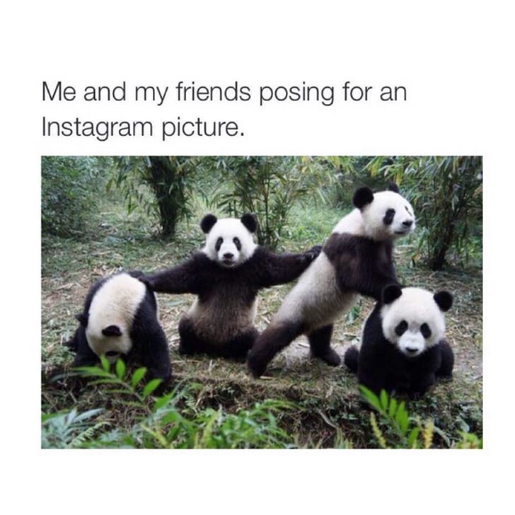 Best Friend Memes Popsugar Tech