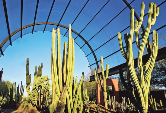 groupon phoenix botanical garden