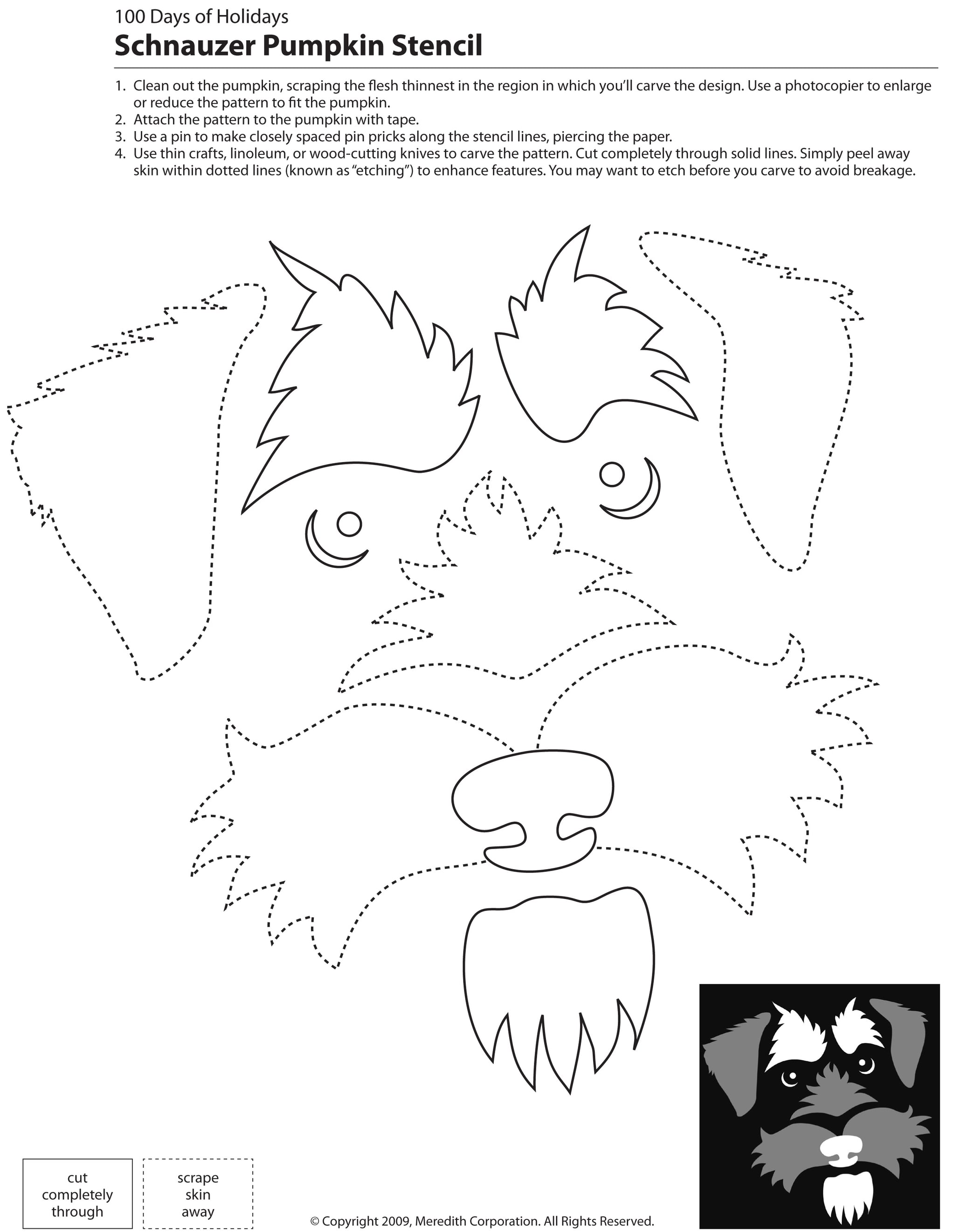 Printable Dog Pumpkin Stencil Printable Word Searches