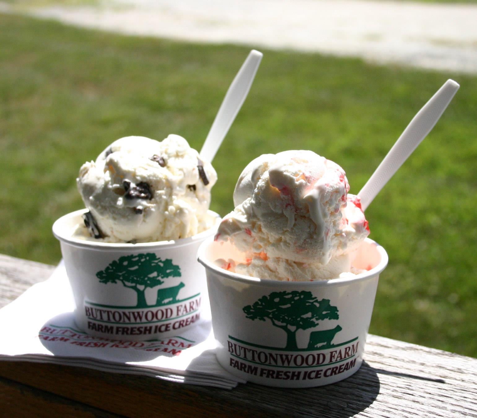 Connecticut Buttonwood Farm 50 States of Ice Cream POPSUGAR Food