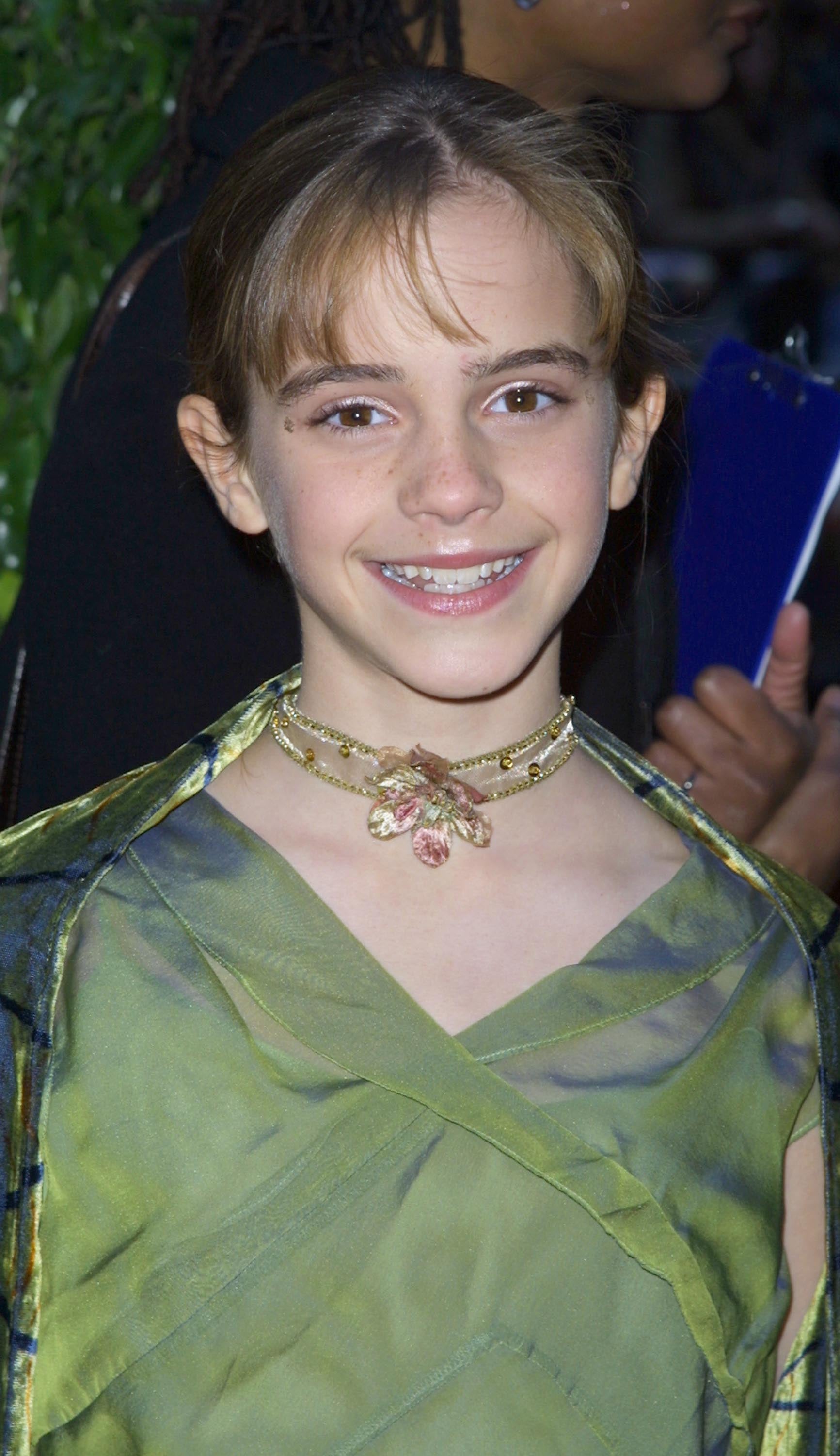 At The Premiere Of Harry Potter And The Sorcerer S Stone In 2001